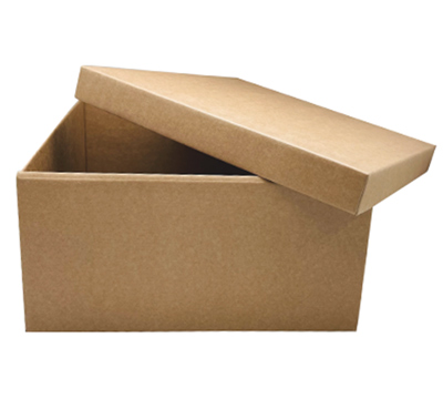 gift box easy gift large (10pcs)-natural #4