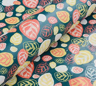 10m calathea slim-wrap pack-tropicana #2