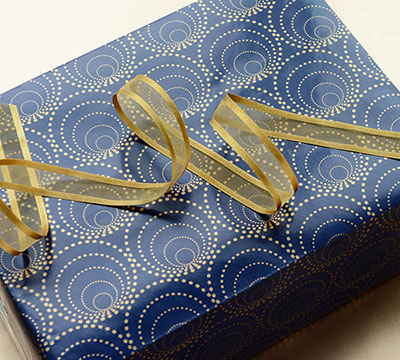 10m eccentric slim-wrap pack-navy-gold #3