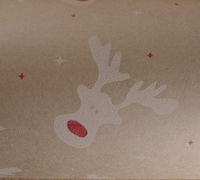 10m rudolph kraft slim-wrap pack-white-red