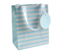 gift bag - medium - spots n stripes - blue