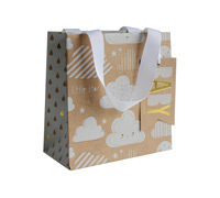 gift bag - small - cloud9