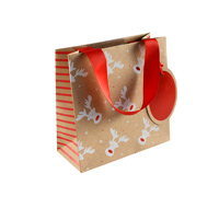 gift bag - small - rudolph
