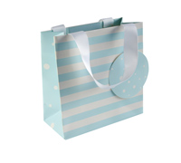 gift bag - small - spots n stripes - blue