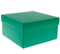 gift box cake (5pcs) - emerald (textured)