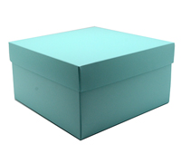 gift box cake (5pcs) - mint (textured)
