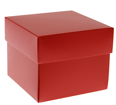 gift box mug (5pcs) - siren (textured red)