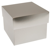 gift box mug (5pcs) - silversmith