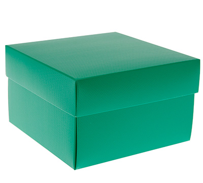 gift box rice bowl (5pcs) - emerald (textured)