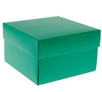 gift box rice bowl (5pcs) - emerald (textured)