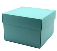 gift box rice bowl (5pcs) - mint (textured)