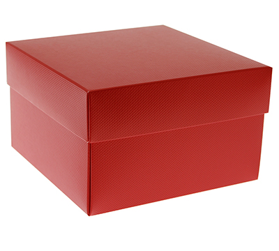 gift box rice bowl (5pcs) - siren (textured red)