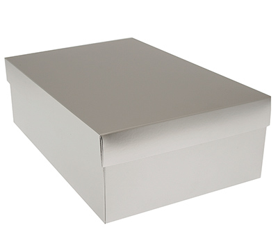gift box shoe (5pcs) - silversmith