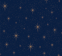 5m twinkling stars wrap - navy-gold pack